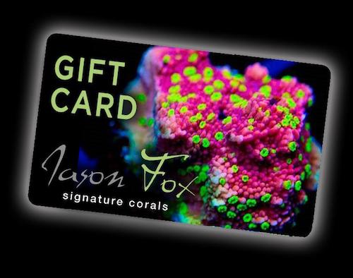 GIFT_CARD.jpg