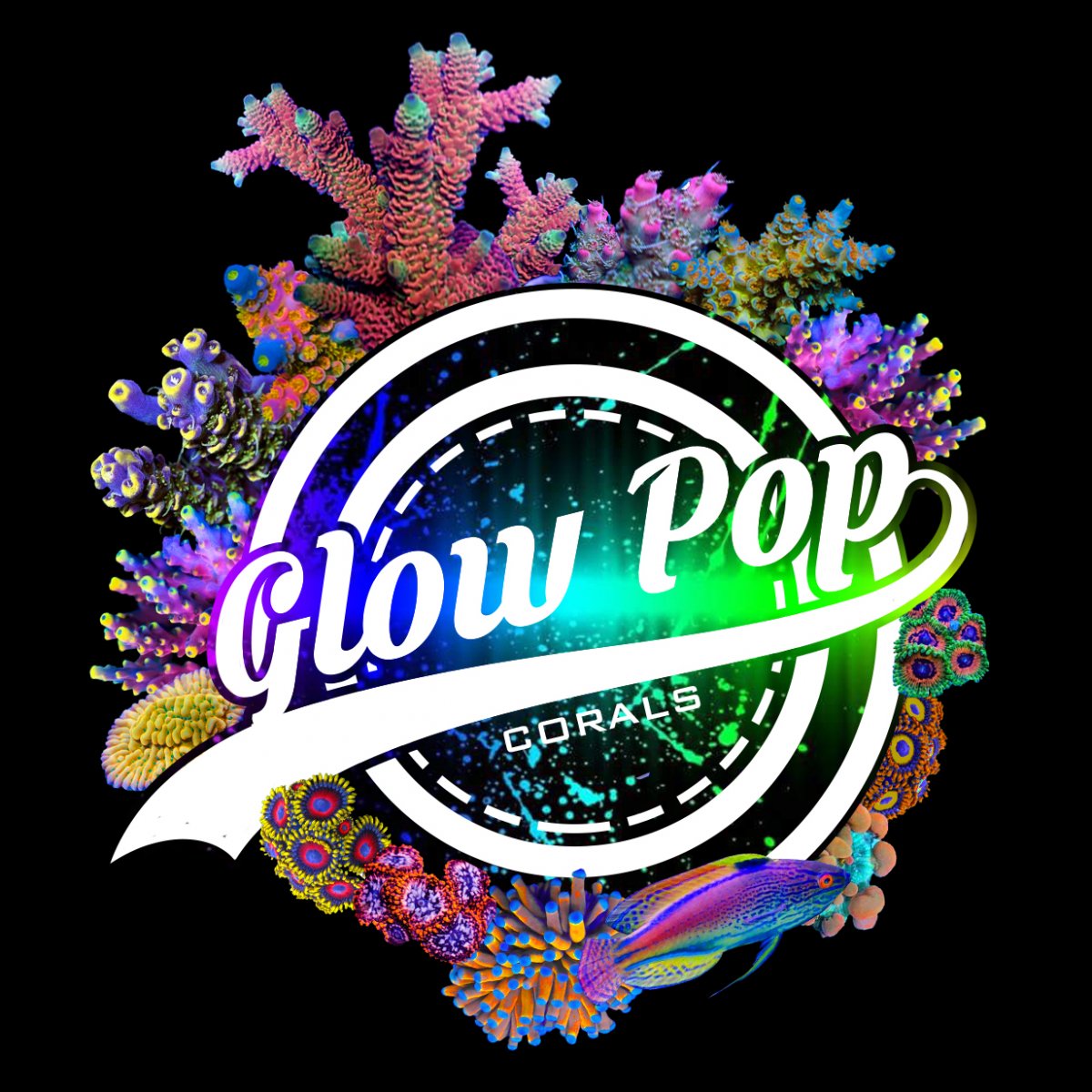 glow pop corals logo 2.jpg