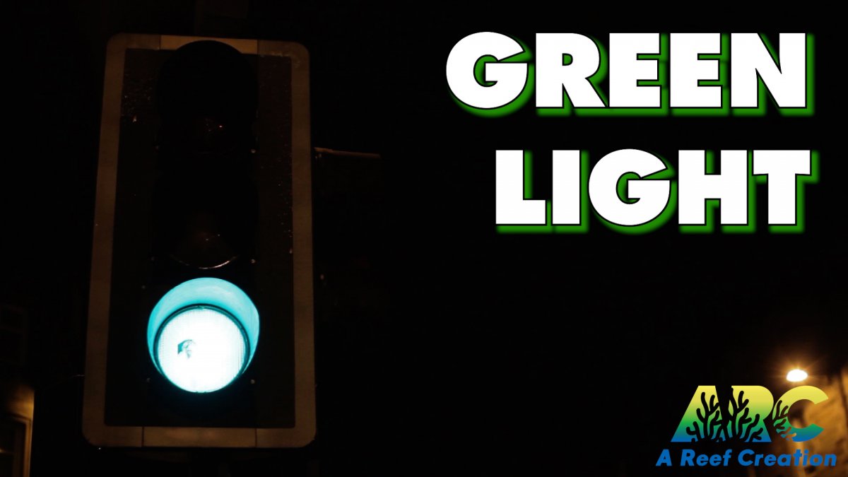 green light.jpg