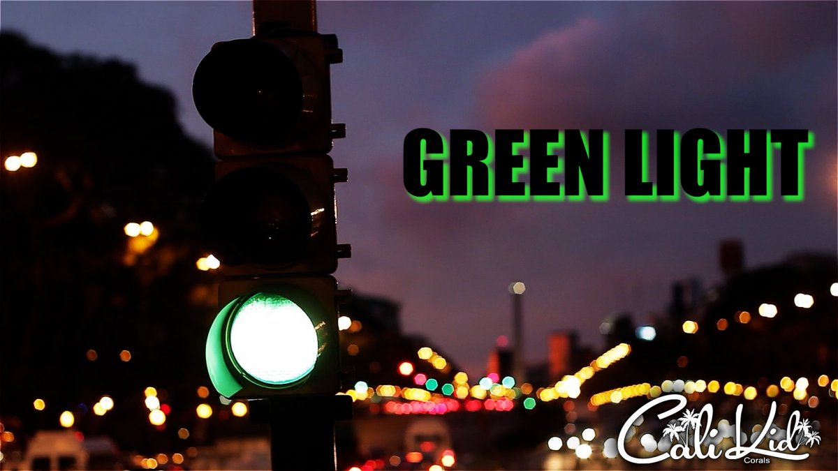 GREEN LIGHT.jpg