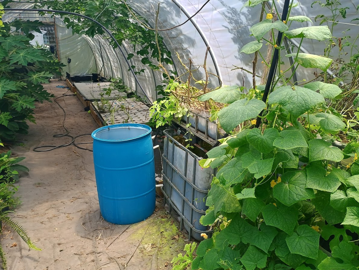 greenhouse.jpg