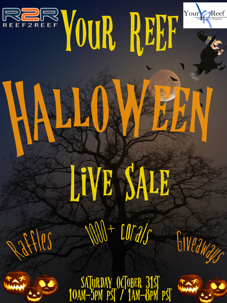 Halloween Live Sale Large.png