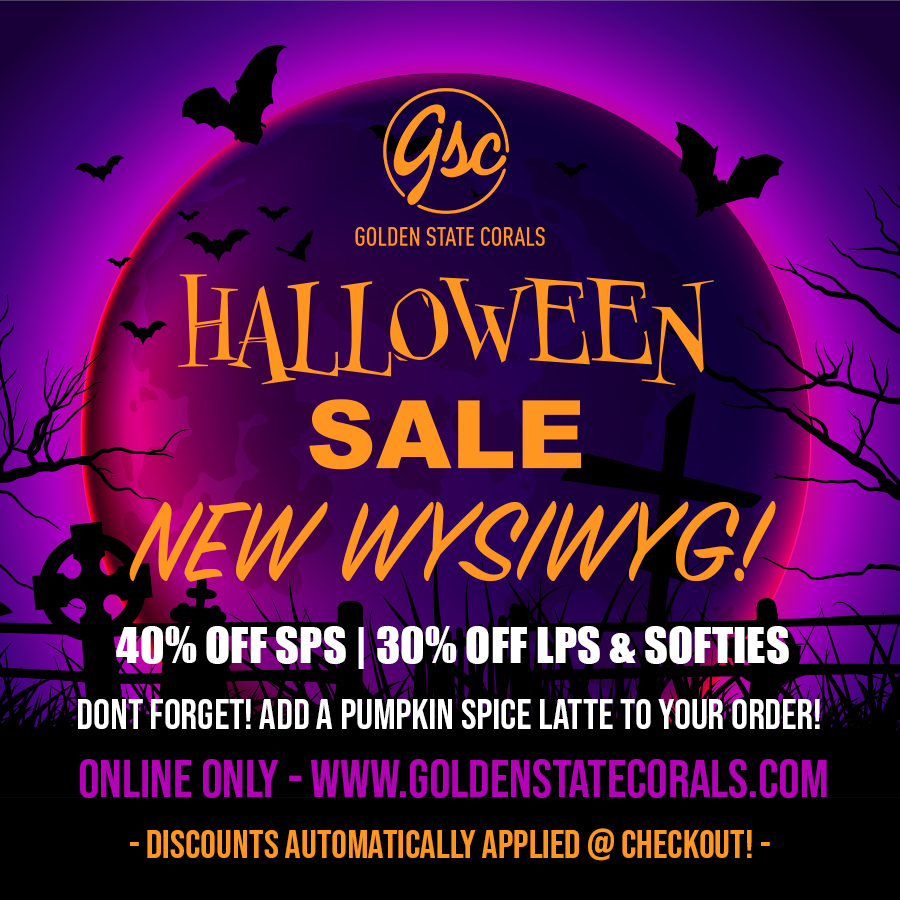 halloween-Sale-2023.jpg