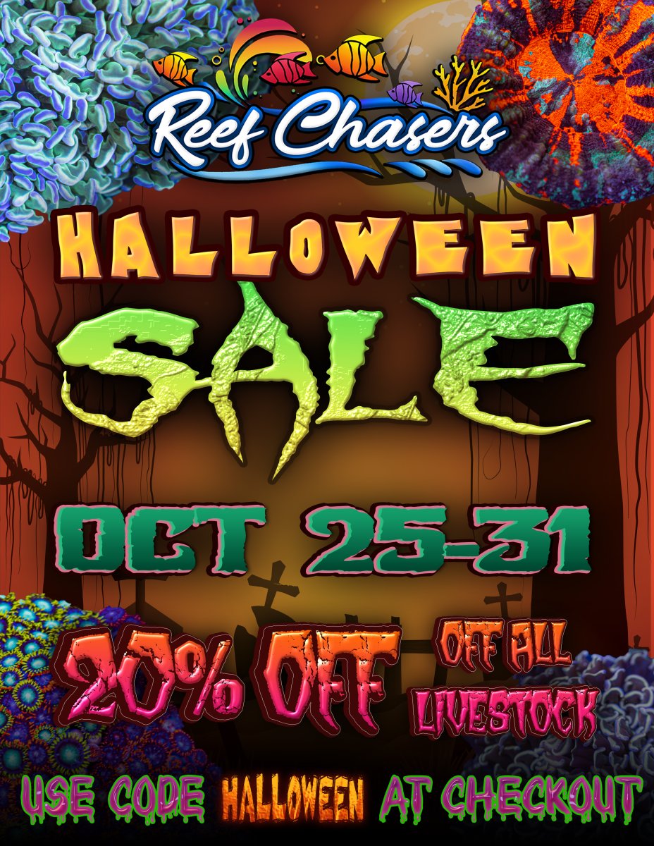 Halloween Sale Tall With Corals3.jpg