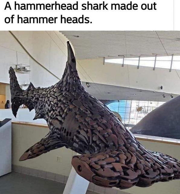 Hammerhead.JPG