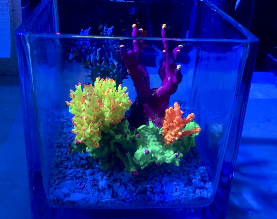 Hand Painted Coral Reef Aquarium Craft Aquatic.jpg