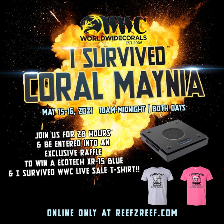 i_survived_coral_mayniaSM1x1.jpeg