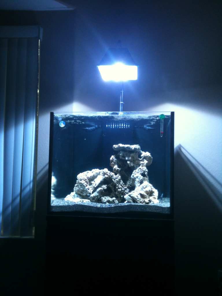 ImageUploadedByReef2Reef Aquarium Forum1360685719.898200.jpg