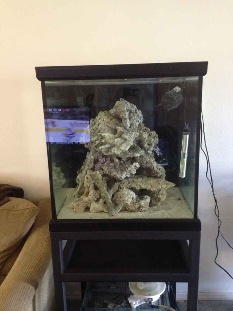 ImageUploadedByReef2Reef Aquarium Forum1364272473.814347.jpg