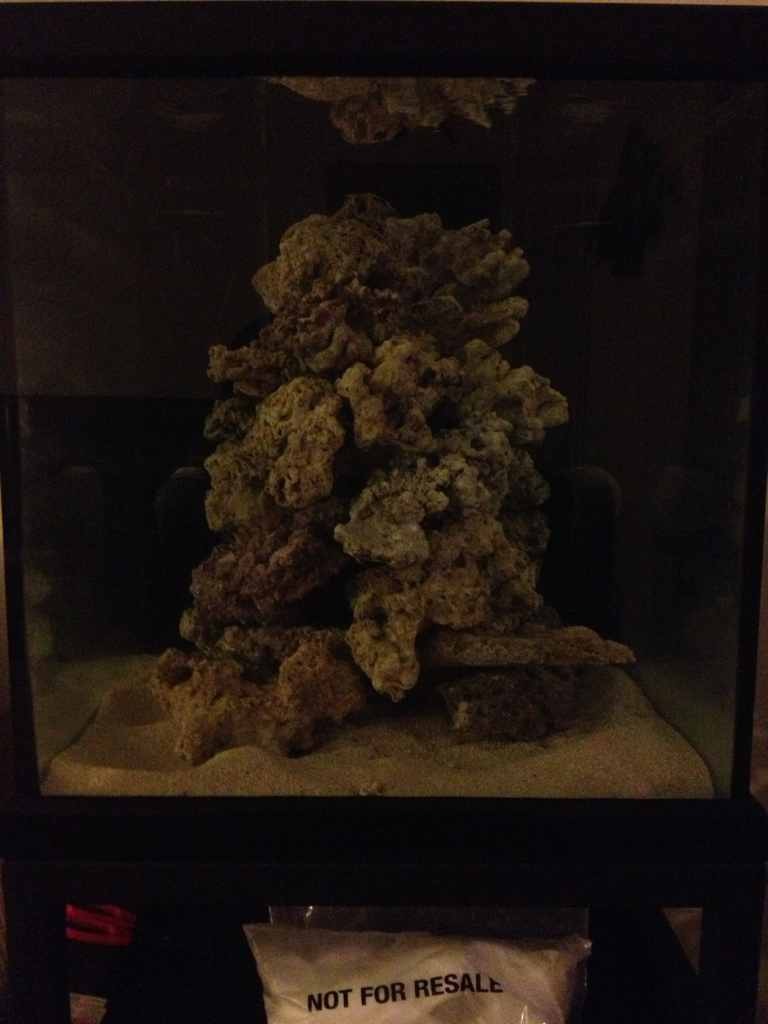 ImageUploadedByReef2Reef Aquarium Forum1364573940.771408.jpg