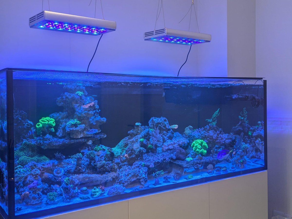 Orphek-natura-icon-best-reef-led-light