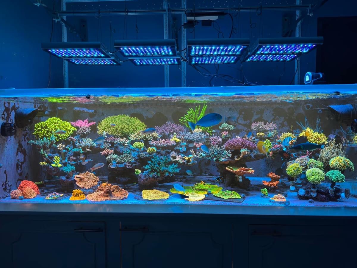 Orphek-natura-icon-reef-aquarium led light 