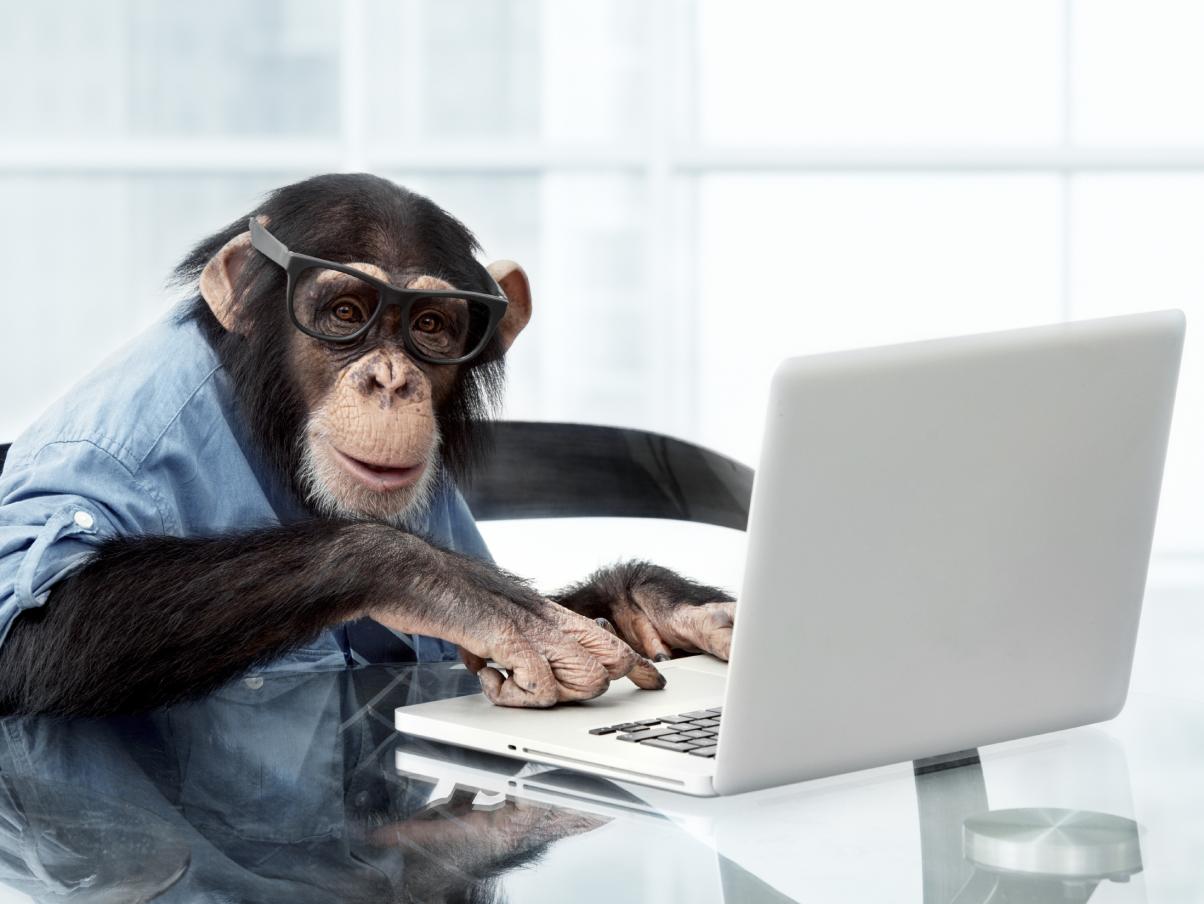 istock-18586699-monkey-computer-4b8653fa14a7eb233c2e91f27206eaa0798e21a31.jpg