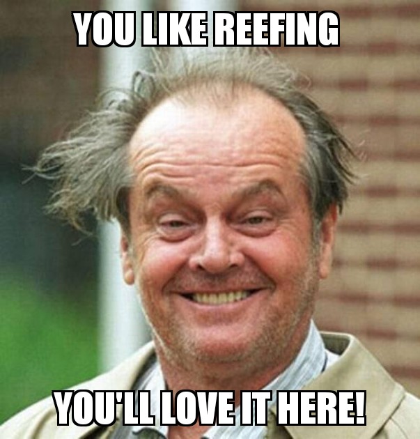 Jack Nicholson Advice 20122019205750.jpg