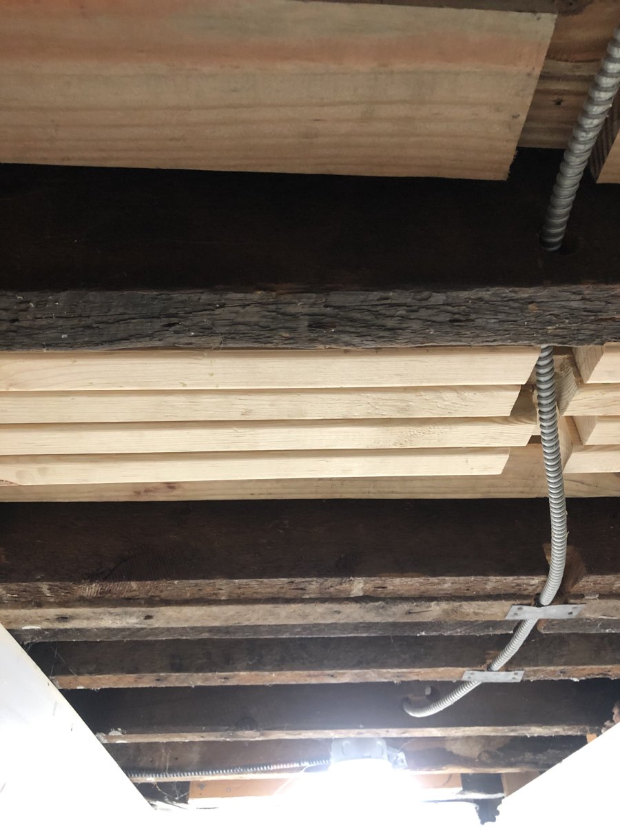 joists1.jpg