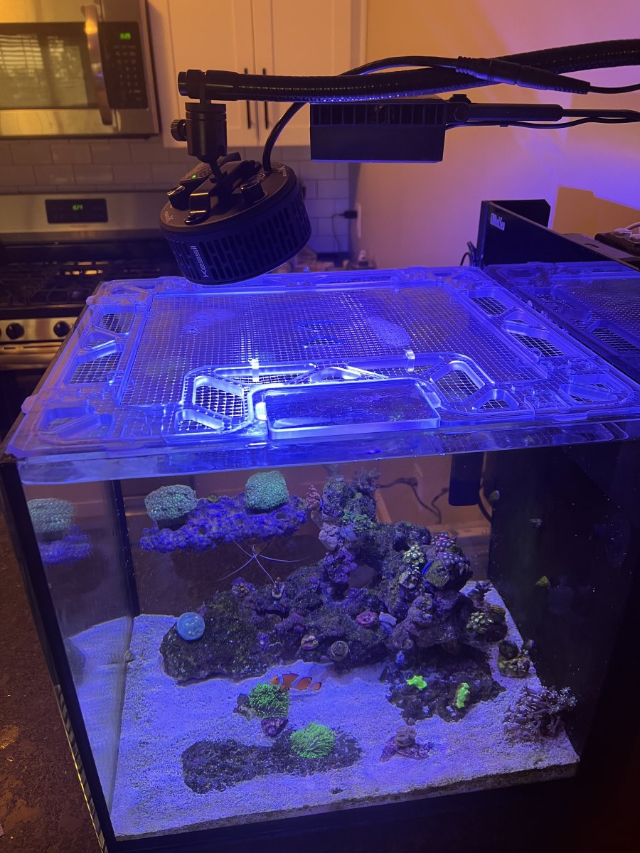 kessil a360x 1.jpg