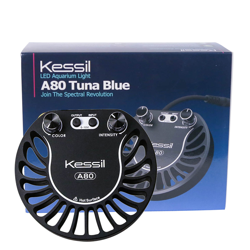 kessil a80.jpg