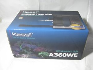 kessil.jpg