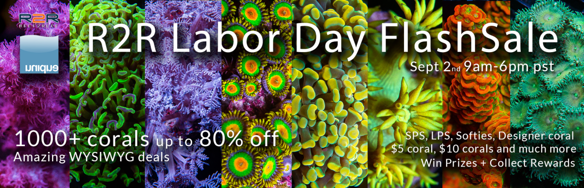 LaborDay-R2R-sale-sept2.png