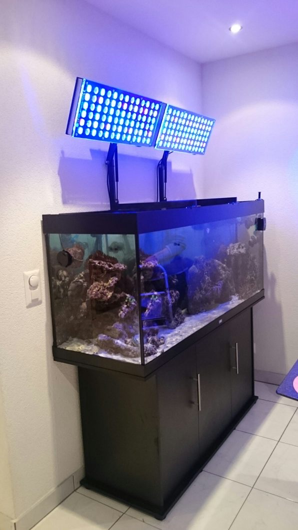 LED Aquarium lighting Orphek Atlantik17.jpg