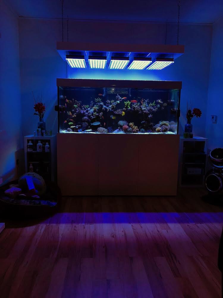 LED Aquarium lighting Orphek Atlantik18.jpg