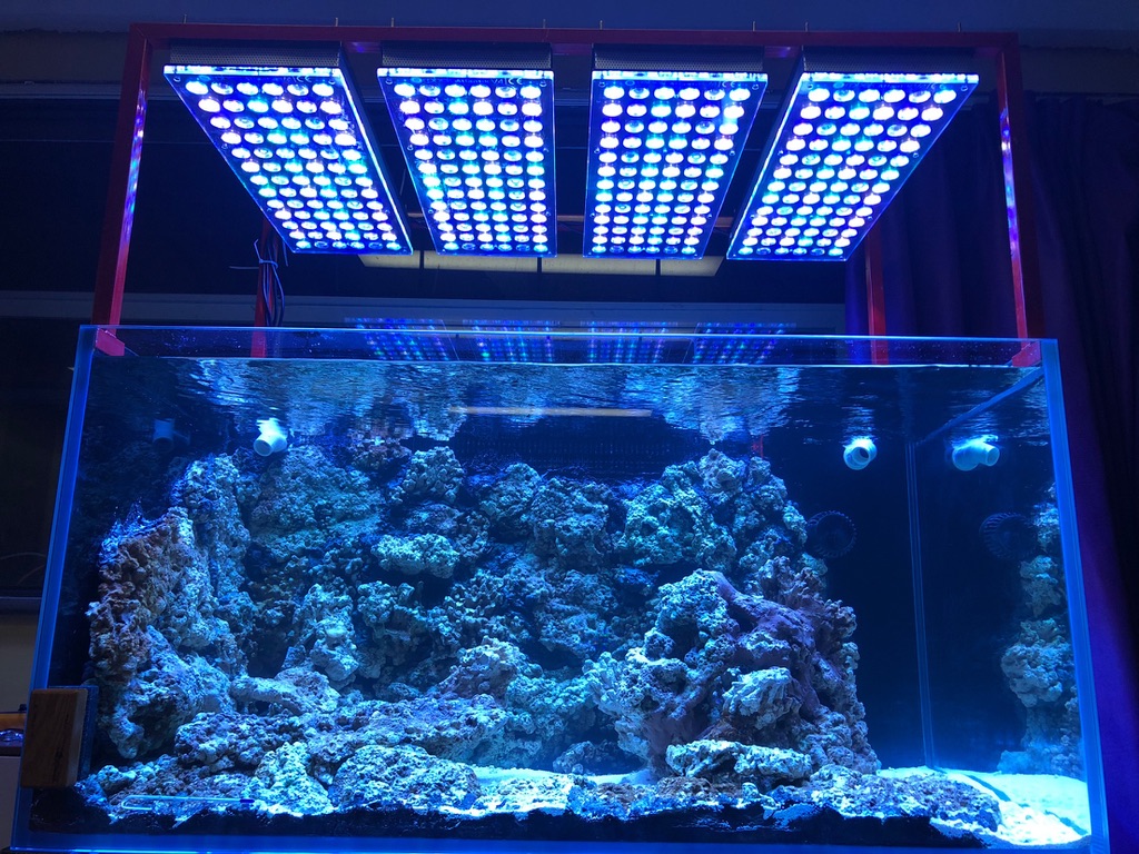 LED Aquarium lighting Orphek Atlantik23.jpg