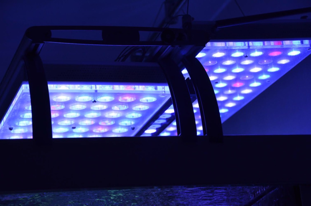 LED Aquarium lighting Orphek Atlantik24.jpg