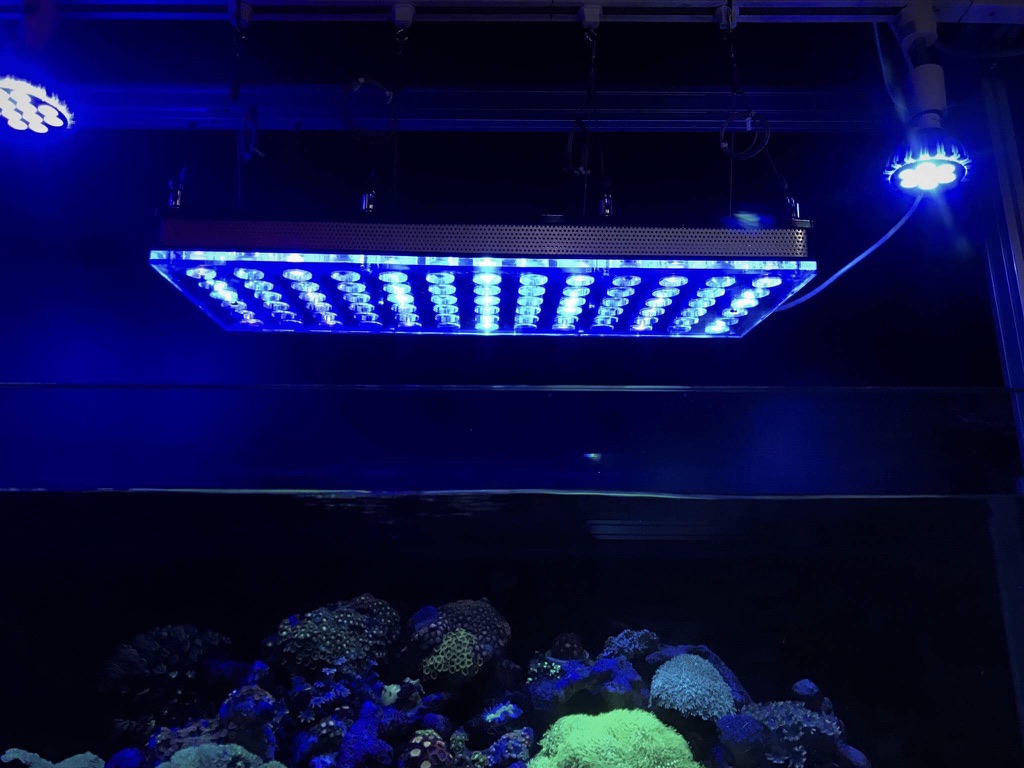 LED Aquarium lighting Orphek Atlantik32.jpg