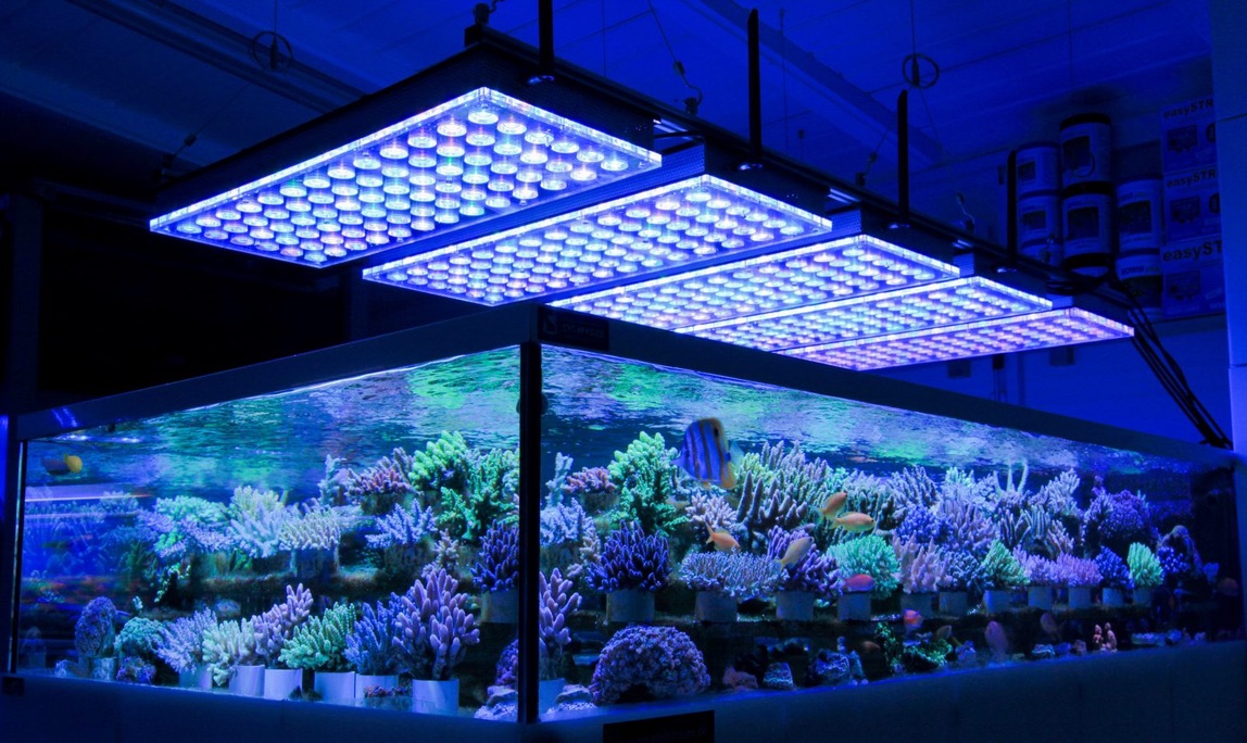 LED Aquarium lighting Orphek Atlantik37.jpg