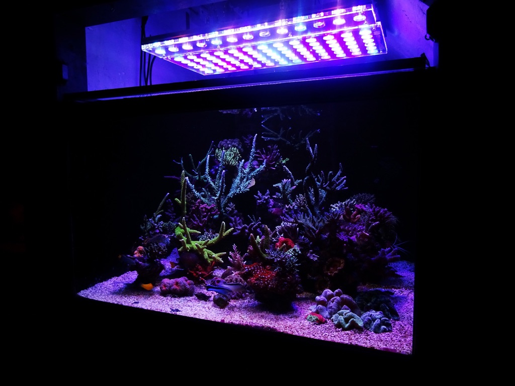 LED Aquarium lighting Orphek Atlantik41.jpg
