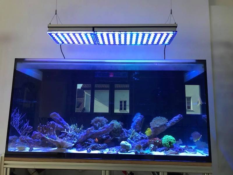 LED Aquarium lighting Orphek Atlantik42.jpg