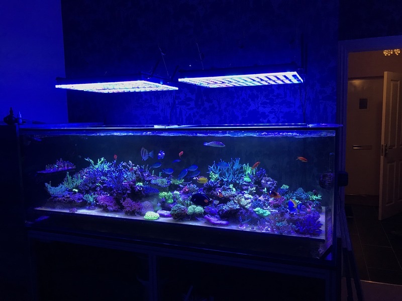 LED Aquarium lighting Orphek Atlantik45.jpg