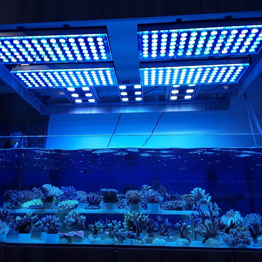 LED Aquarium lighting Orphek Atlantik49.jpg