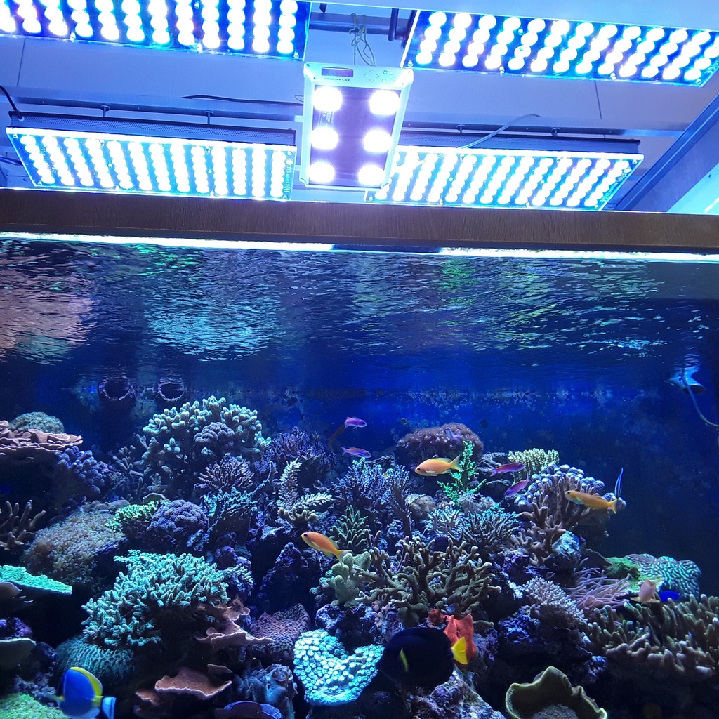 LED Aquarium lighting Orphek Atlantik50.jpg