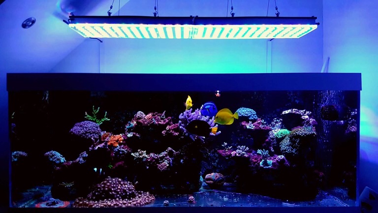 LED Aquarium lighting Orphek Atlantik52.jpg