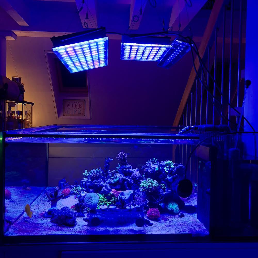 LED Aquarium lighting Orphek Atlantik57.jpg