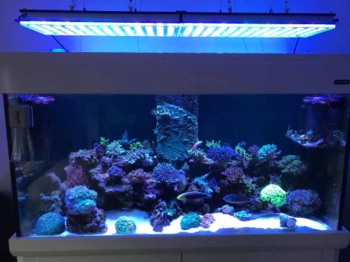 LED Aquarium lighting Orphek Atlantik63.jpg