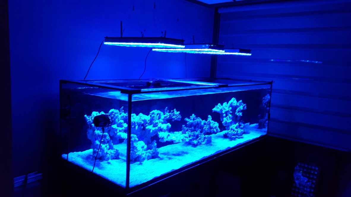 LED Aquarium lighting Orphek Atlantik66.jpg