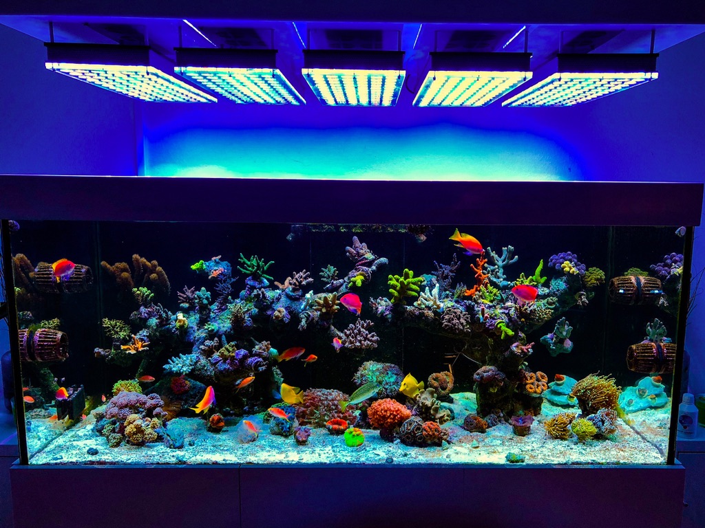 LED Aquarium lighting Orphek Atlantik69.jpg