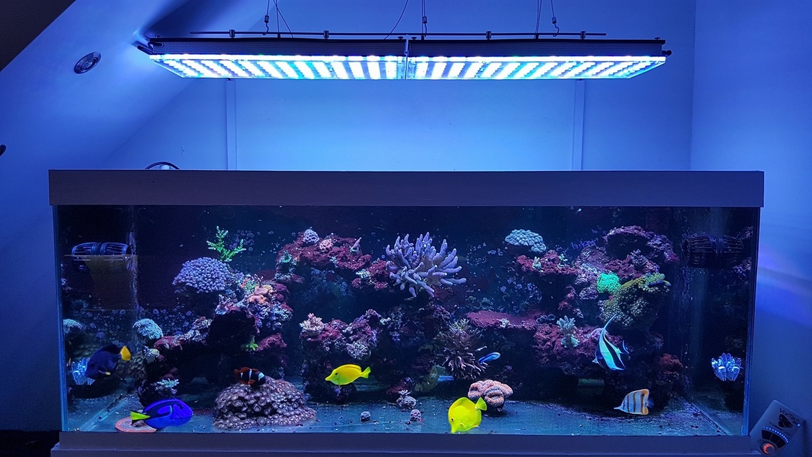LED Aquarium lighting Orphek Atlantik77.jpg