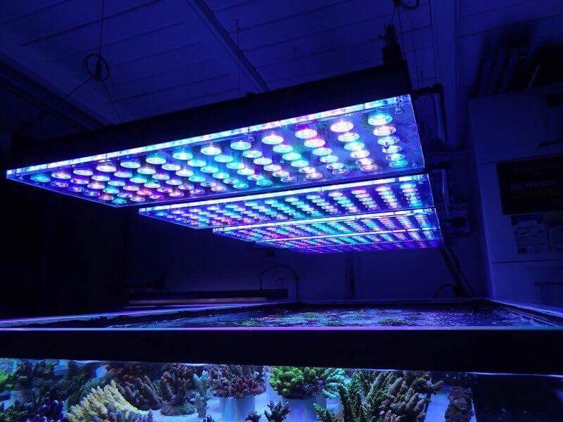LED Aquarium lighting Orphek Atlantik83.jpg