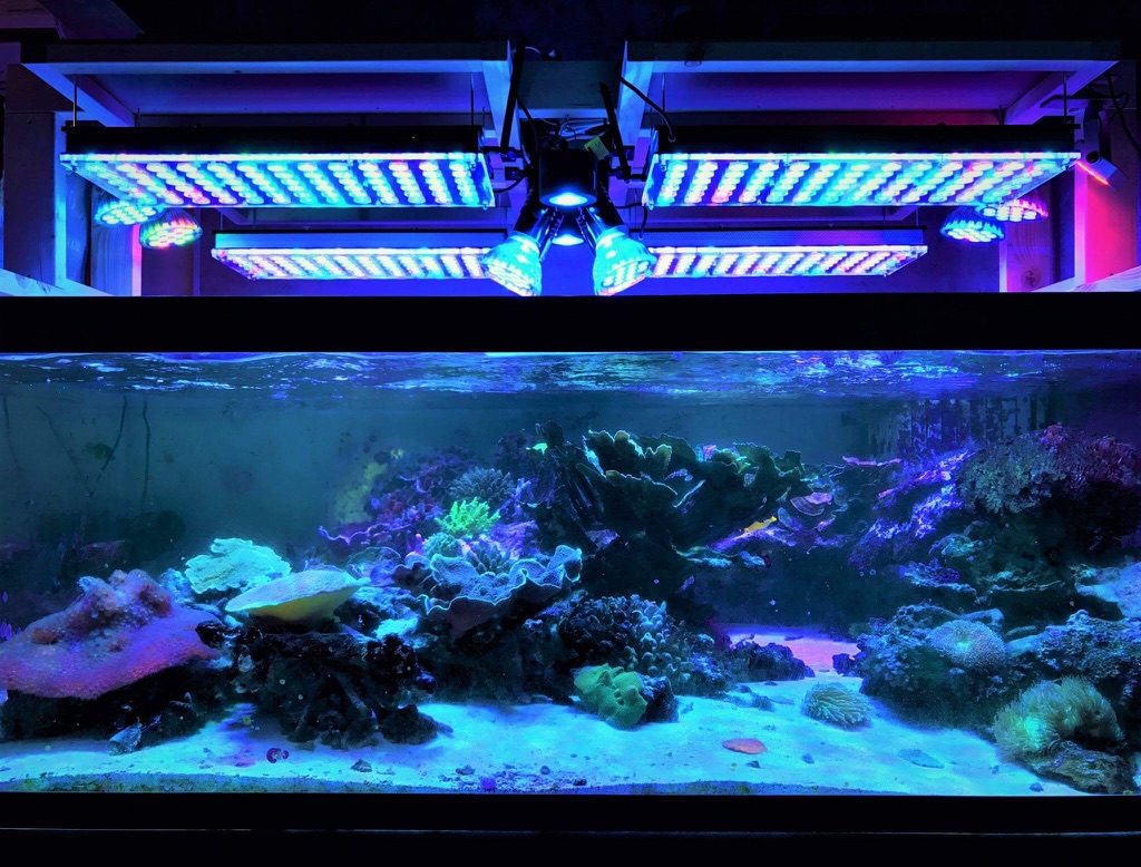 LED Aquarium lighting Orphek Atlantik87.jpg