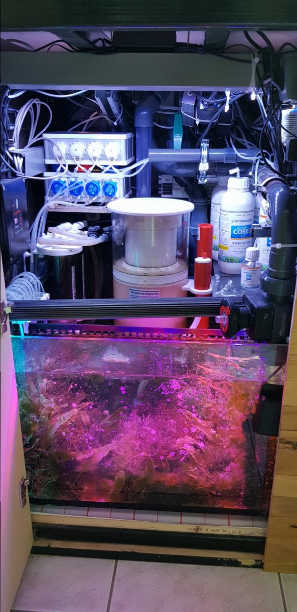 LED-light-Refugium.jpg