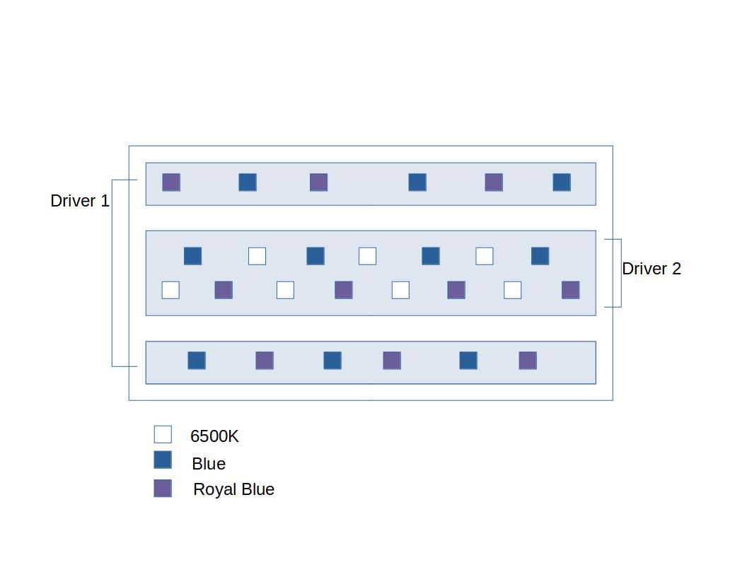 LED_mockups.jpg