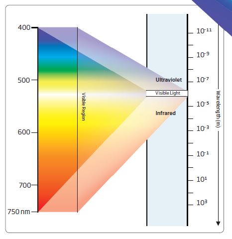 Light and Color Pic 1.JPG