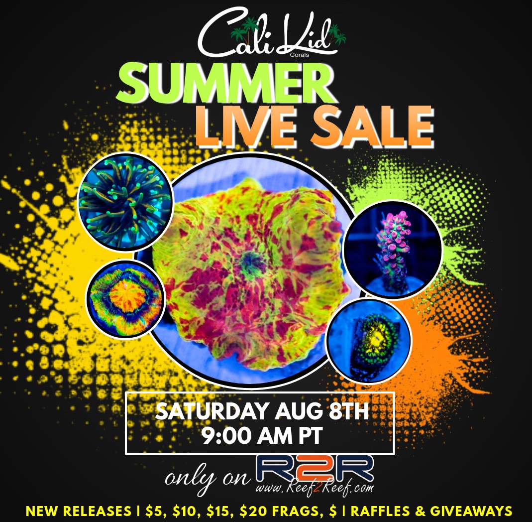 Live Sale Flyer 8.8.20.jpg