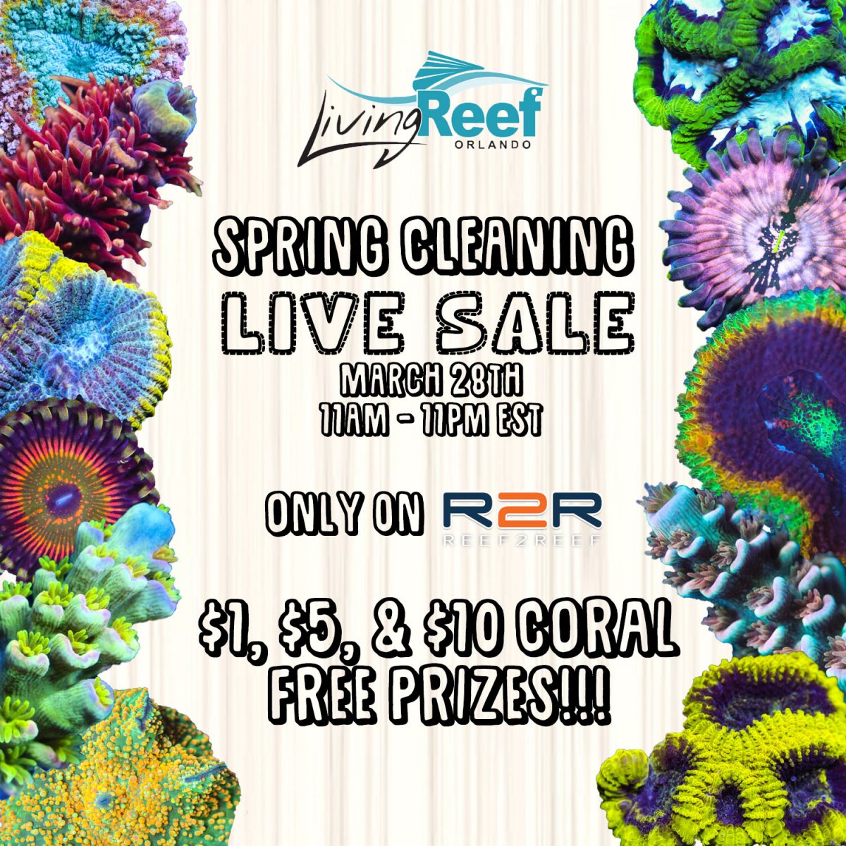 live sale flyer.jpg