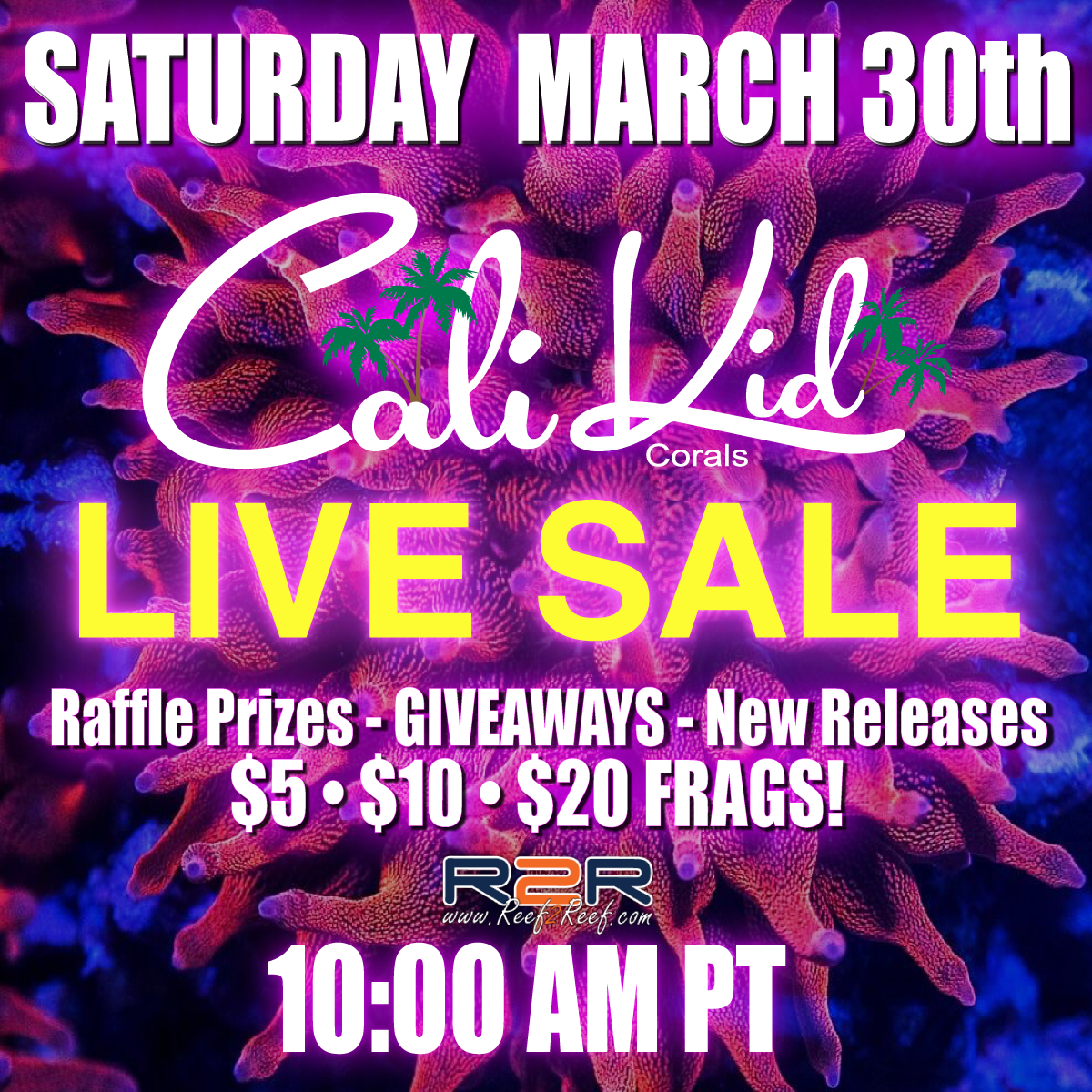 Live Sale.png