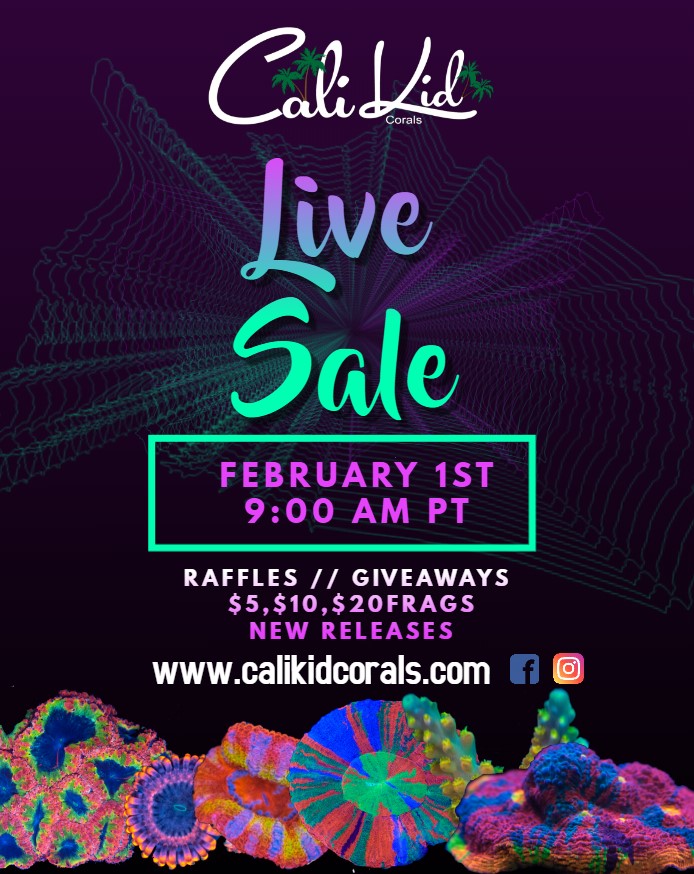 live sale poster.jpg