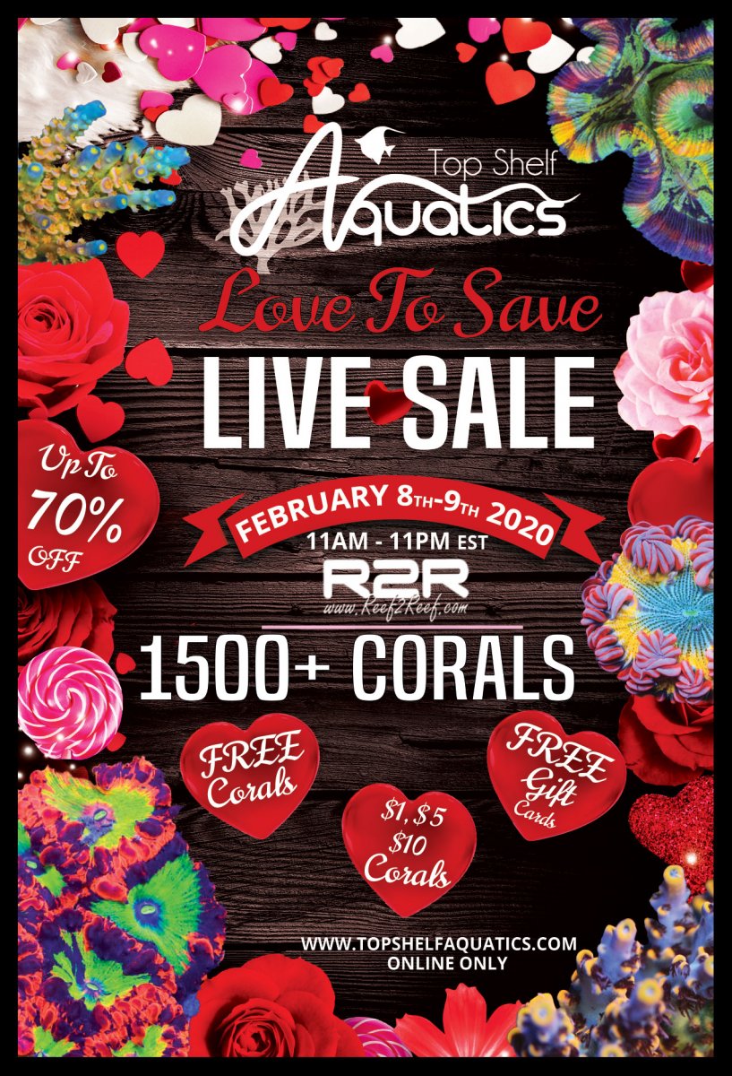 Love-To-Save-Live-Sale.jpg